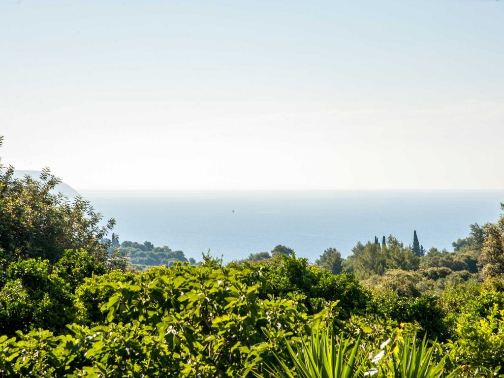 GREEN RETREAT